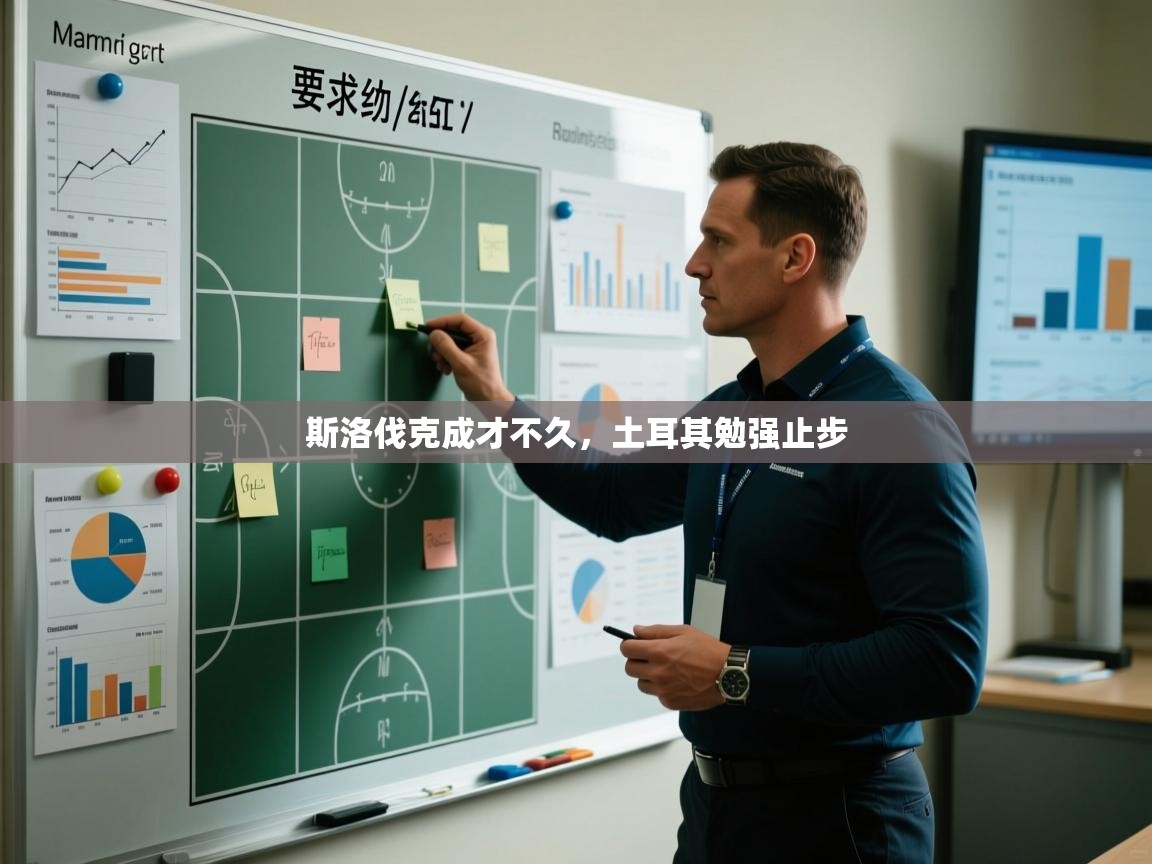 斯洛伐克成才不久，土耳其勉强止步  第2张