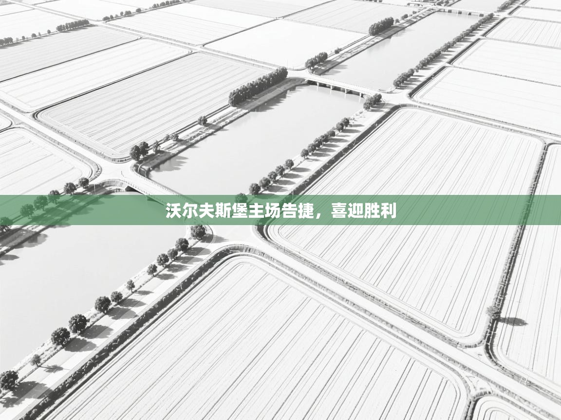 沃尔夫斯堡主场告捷，喜迎胜利