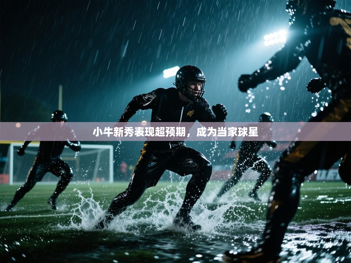 小牛新秀表现超预期，成为当家球星  第2张