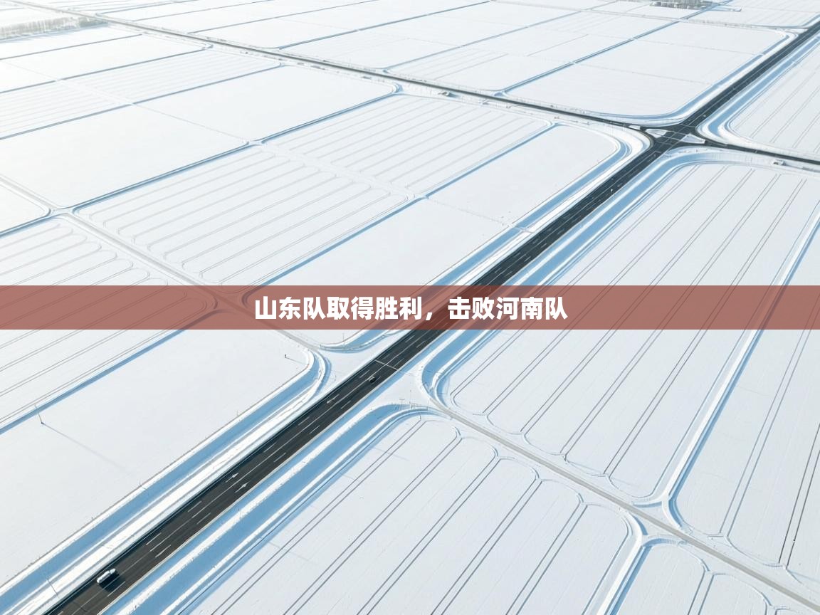 山东队取得胜利，击败河南队