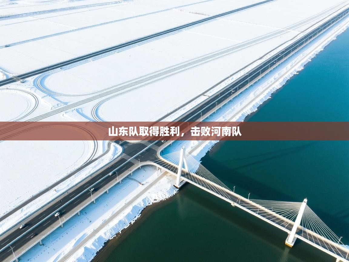 山东队取得胜利，击败河南队