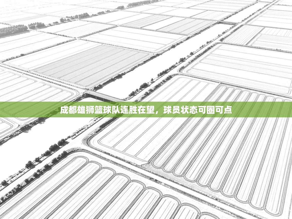 成都雄狮篮球队连胜在望，球员状态可圈可点