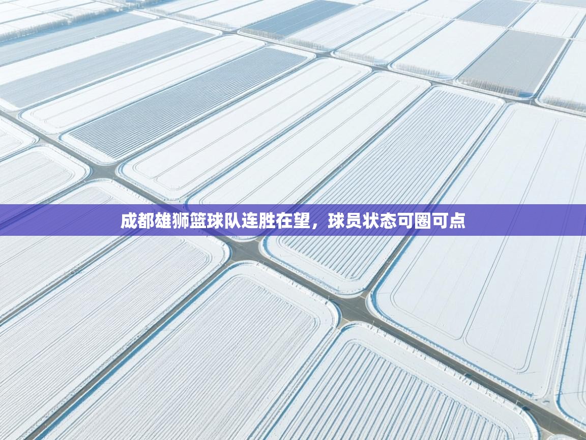 成都雄狮篮球队连胜在望，球员状态可圈可点